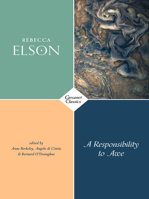 Title details for A Responsibility to Awe by Rebecca Elson - Available